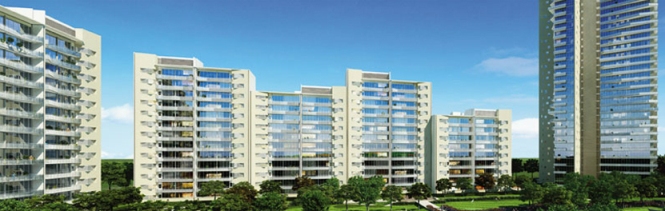Ireo Skyon